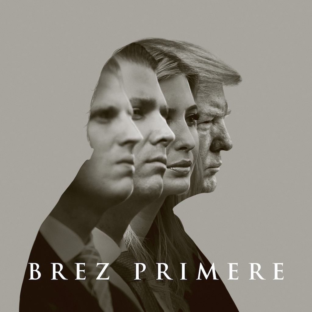 Brez primere