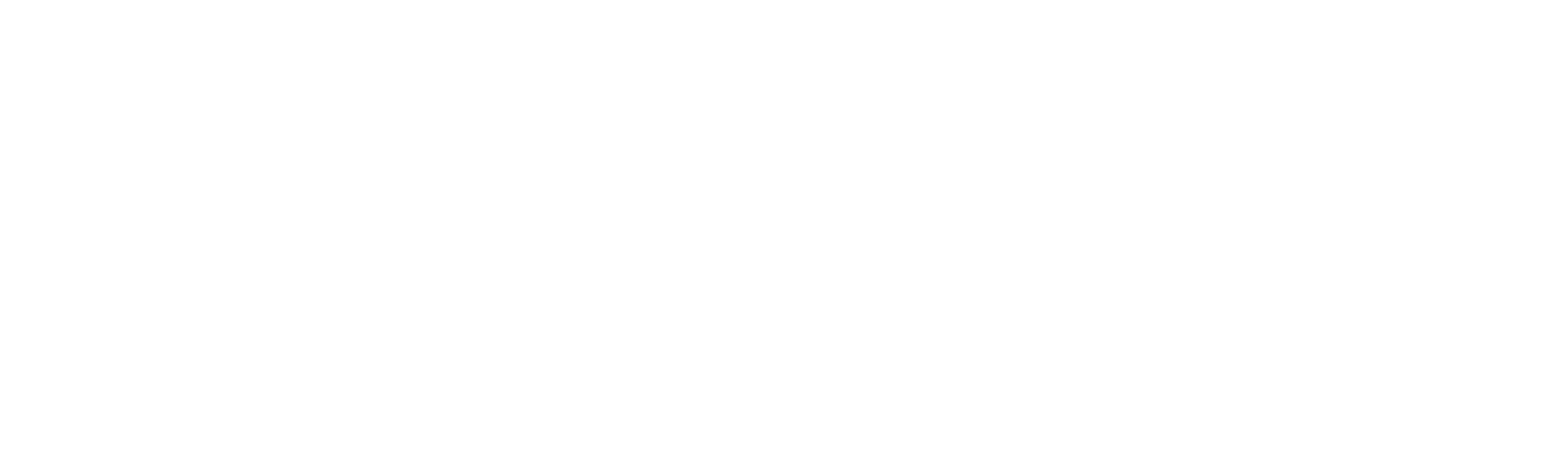 Ladrona de Identidades