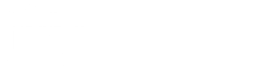 Aventurile fratilor ursi