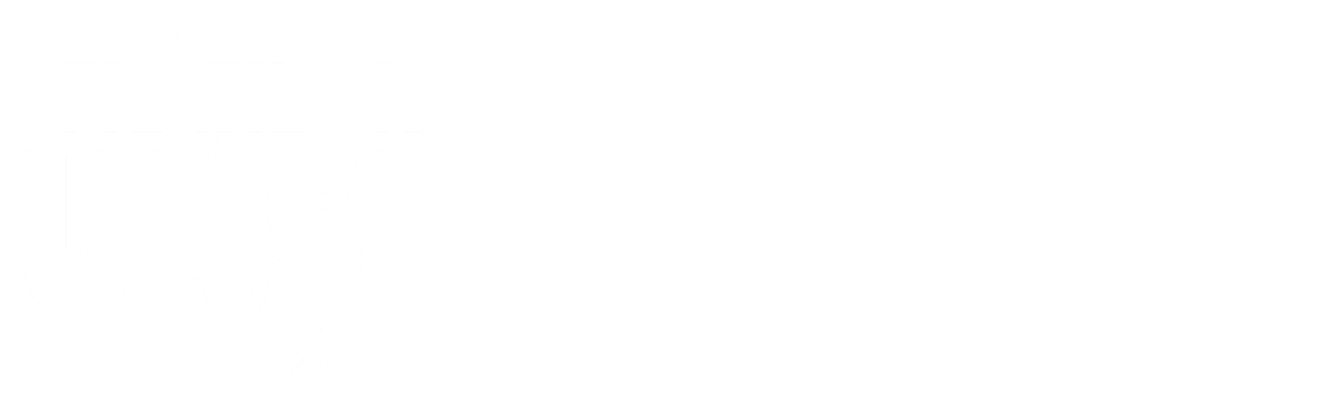 Aventurile fratilor ursi