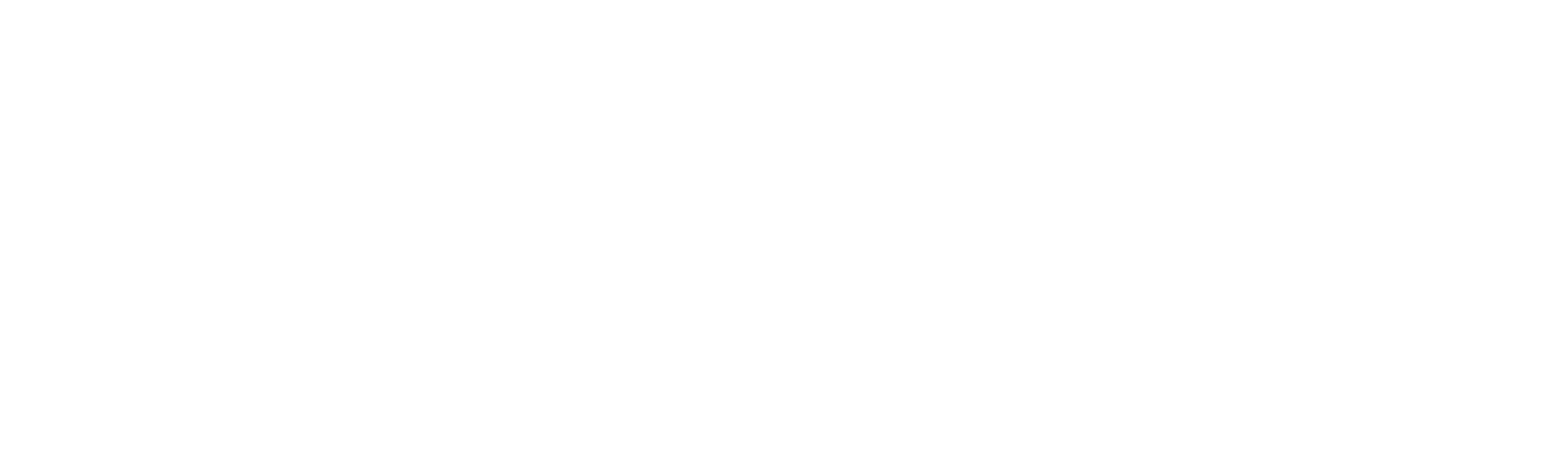 湯姆與謝利︰迷失之龍
