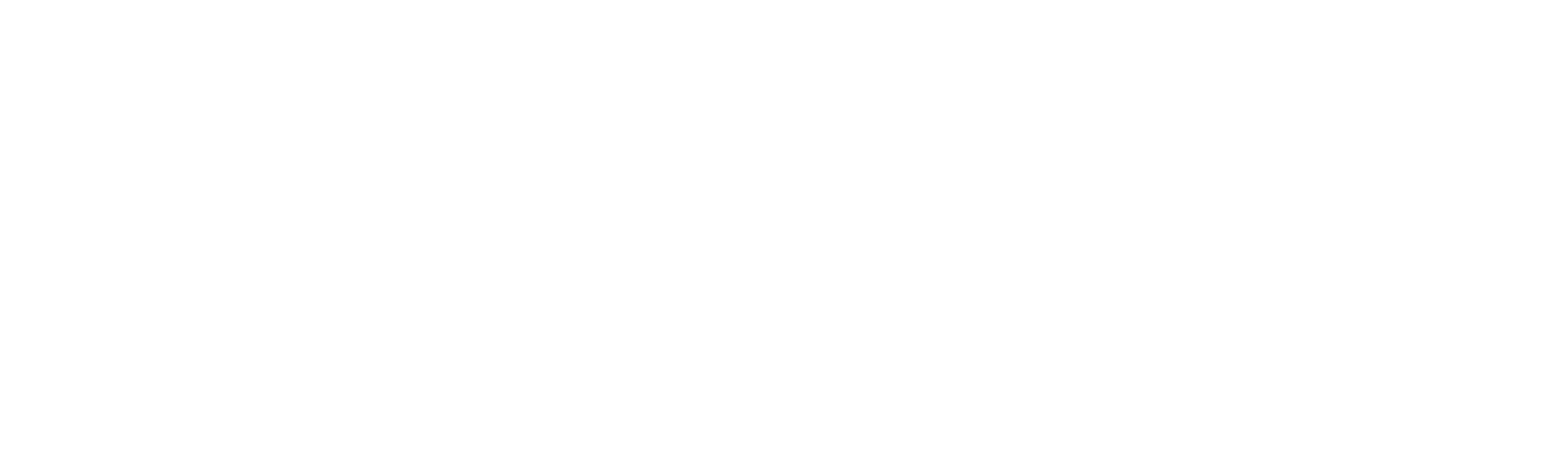 湯姆與謝利︰迷失之龍