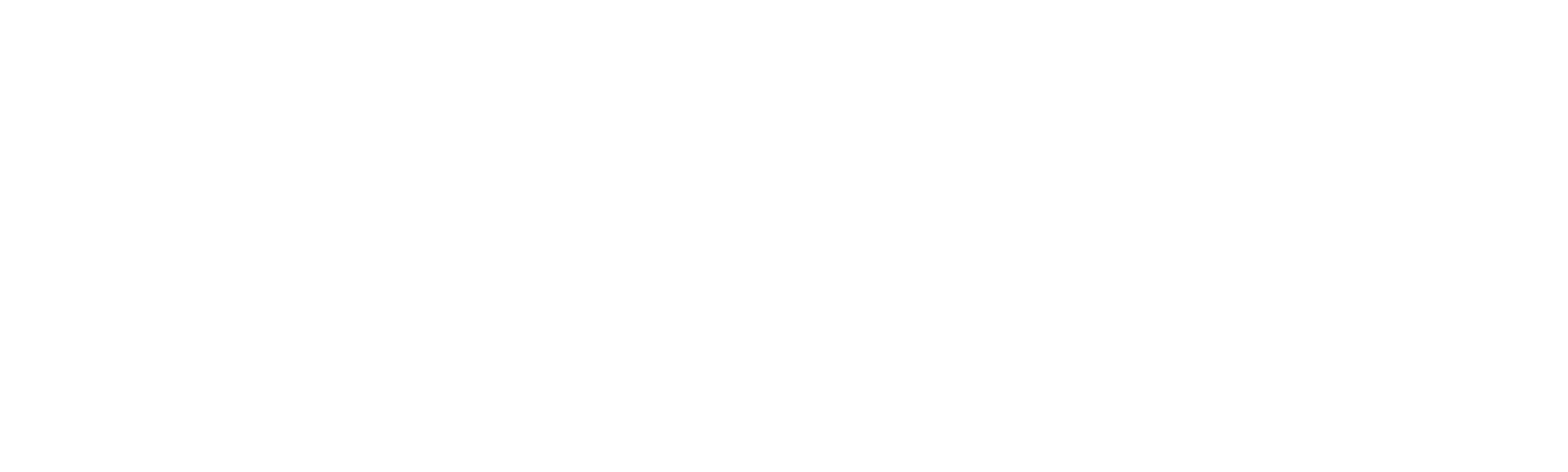 Exchange Student Zero