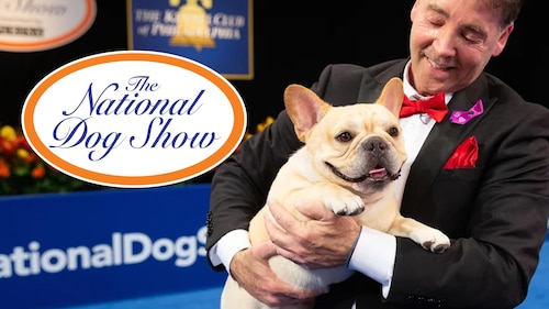 Watch The National Dog Show | HBO Max