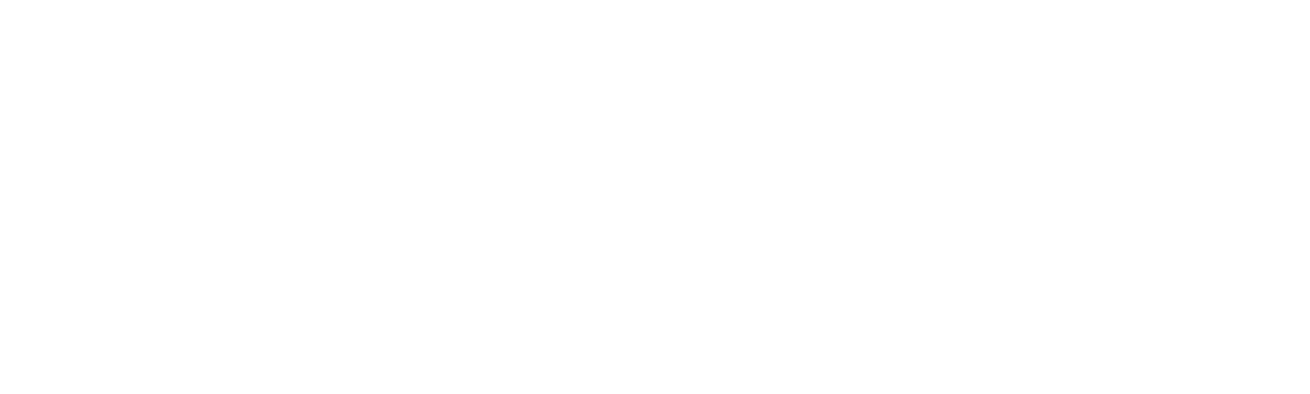 Anatomie ceského odpoledne