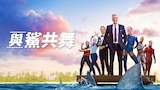 與鯊共舞