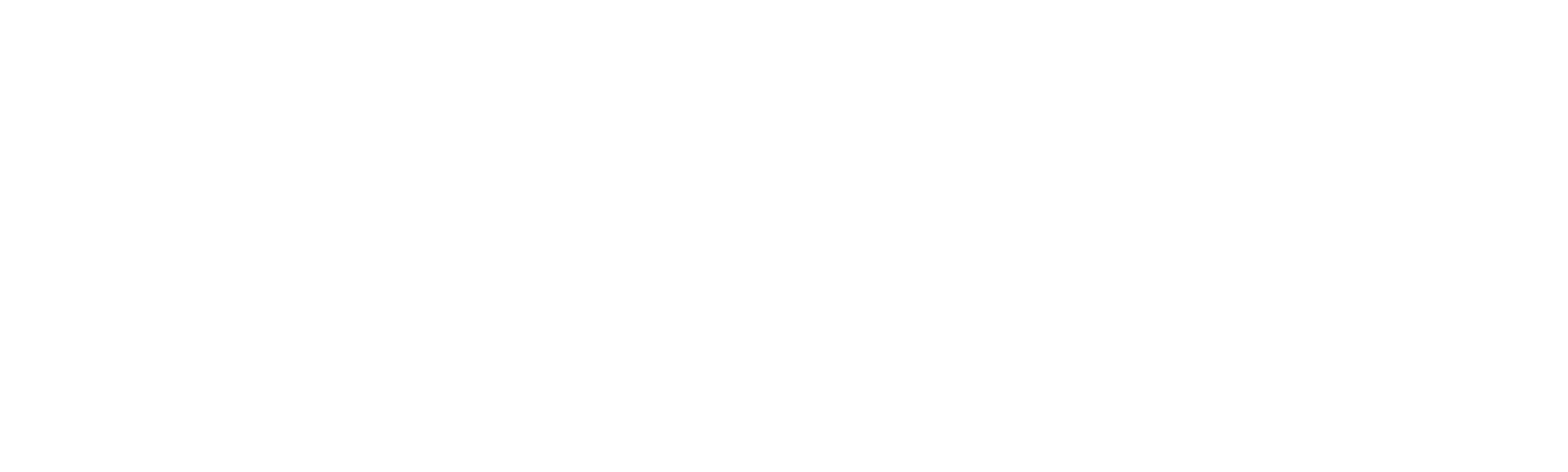 与鲨共舞