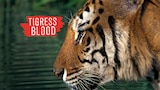 Tigress Blood
