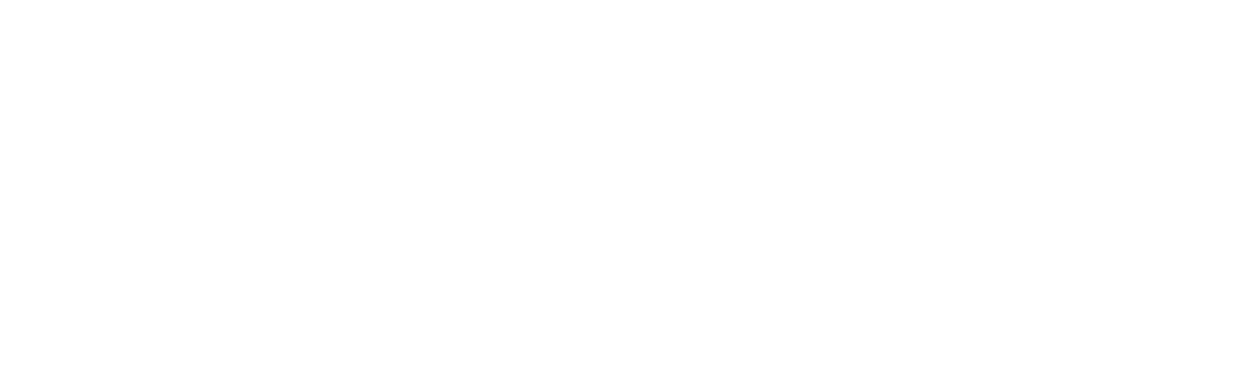 12 Horas para Sobrevivir: El Inicio