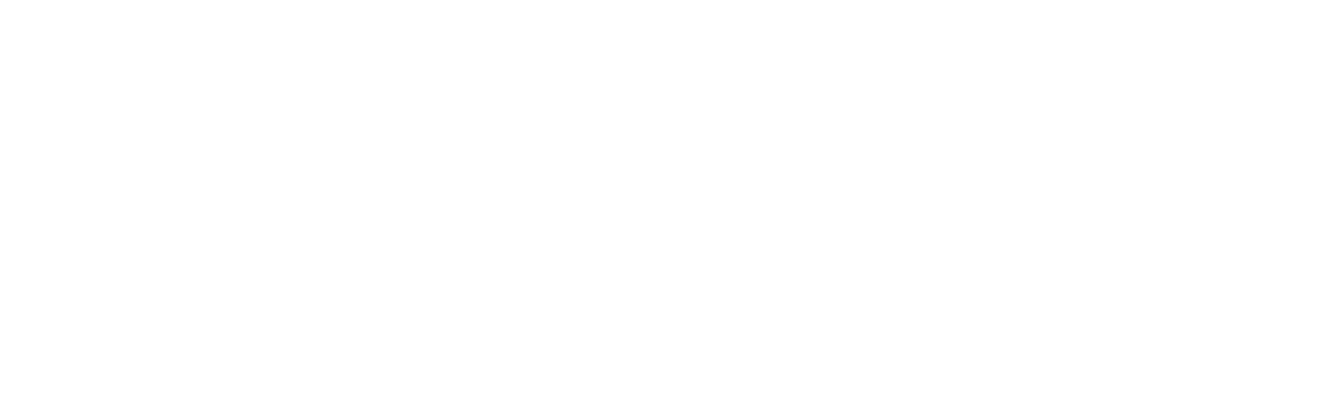 Slice