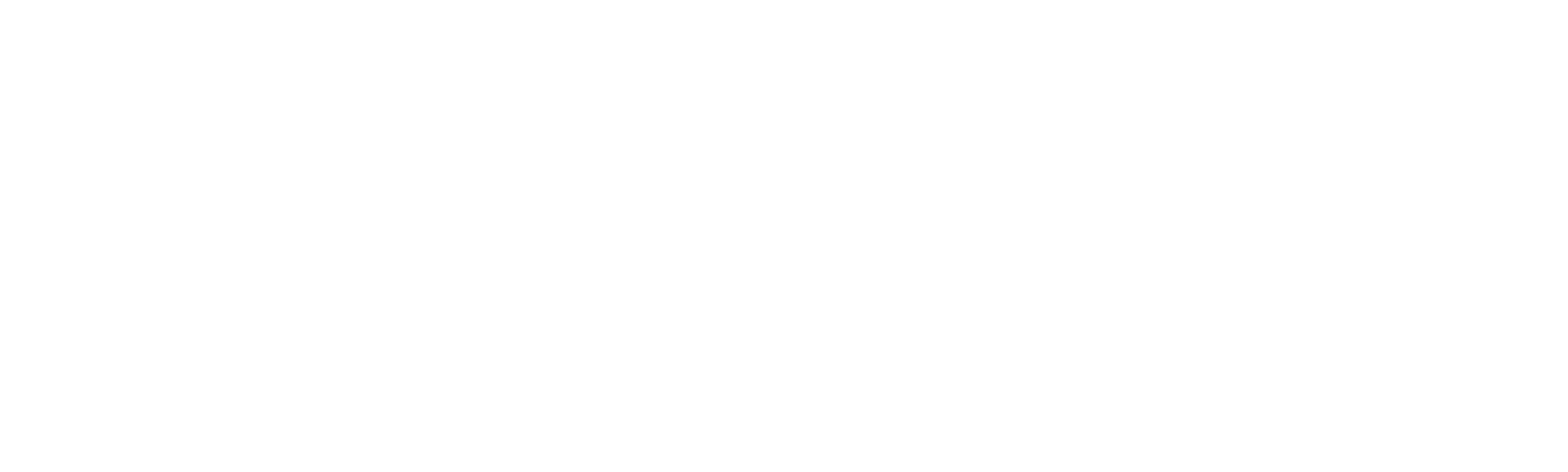 Una Pareja de Idiotas