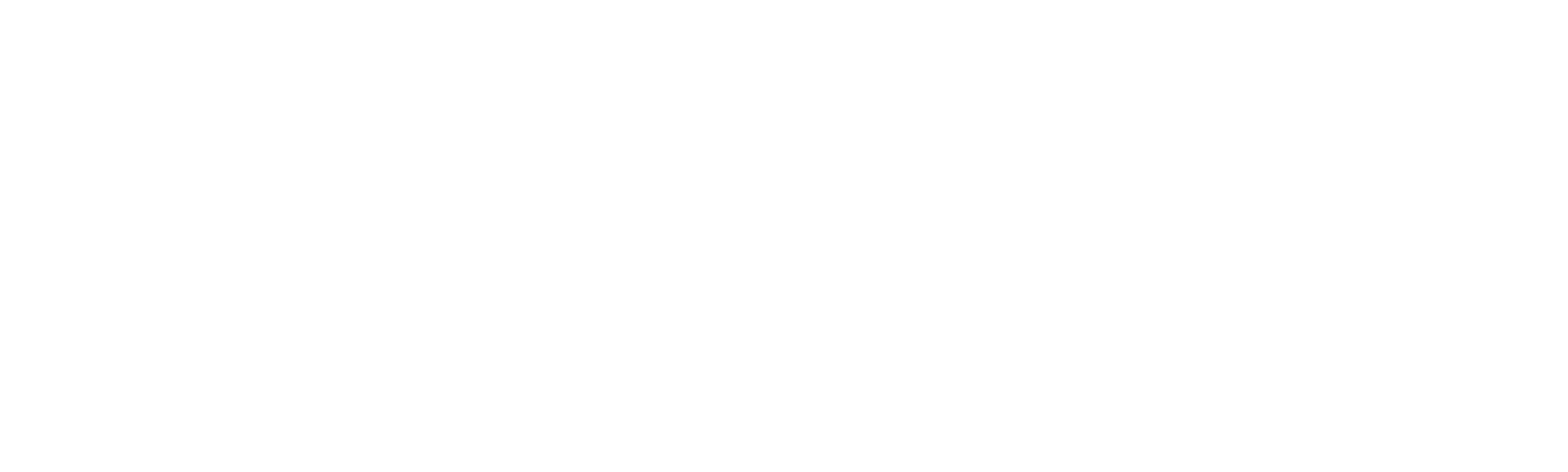 Le Tout Nouveau Testament