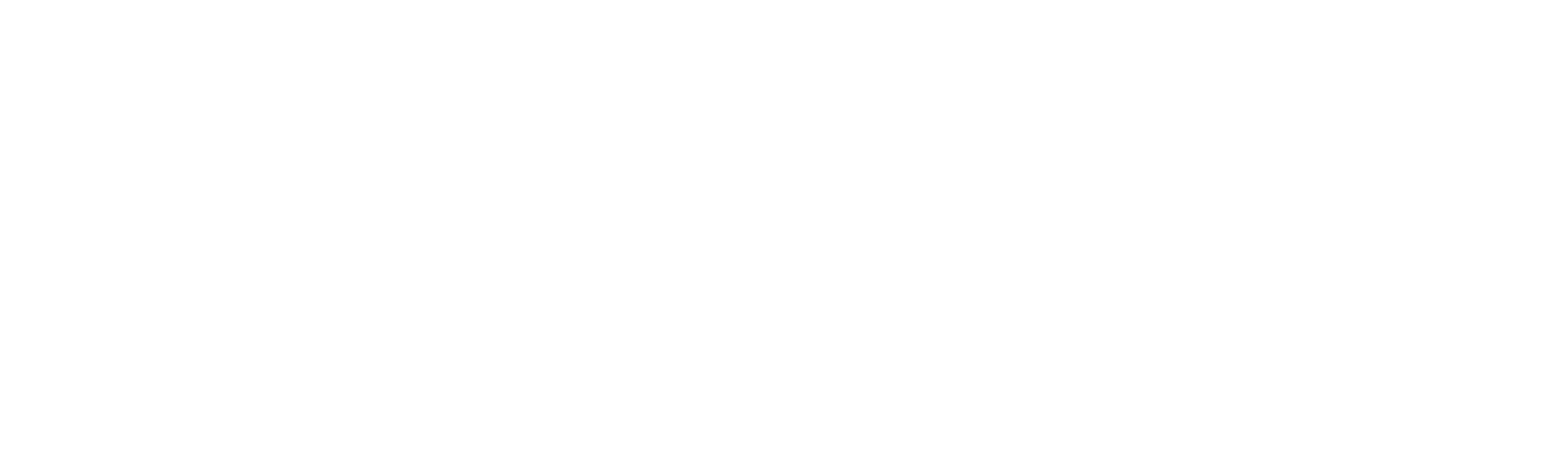 How Do They Do It? Met Joep en Tim