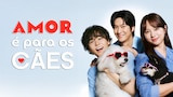 Amor É para os Cães