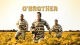 O Brother, Where Art Thou?
