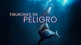 Tiburones en peligro