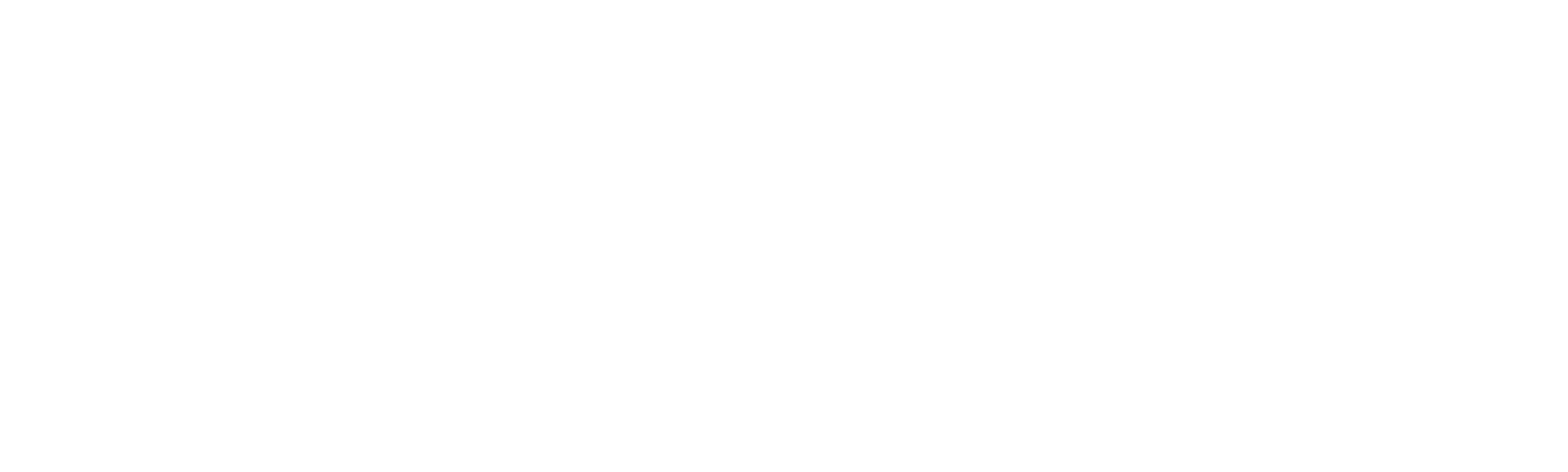 Nine: Una Vida de Pasión