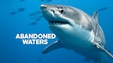 Águas Abandonadas : Os Tubarões das Ilhas Netuno