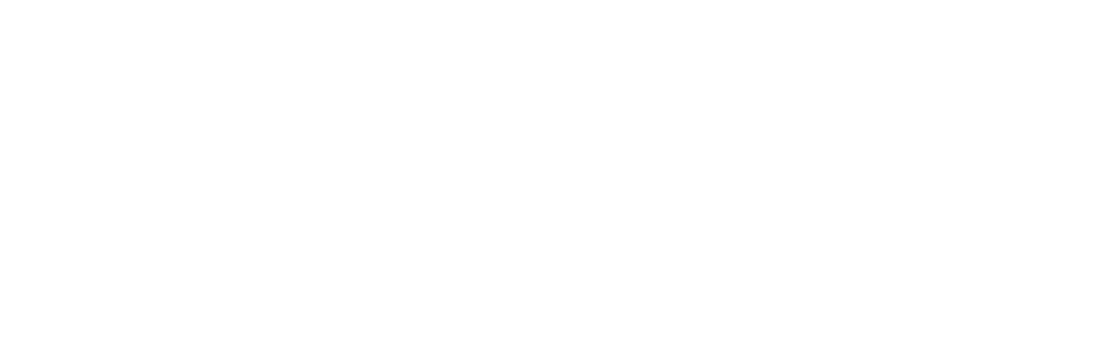 11 Shots