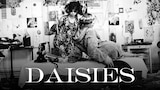 Daisies