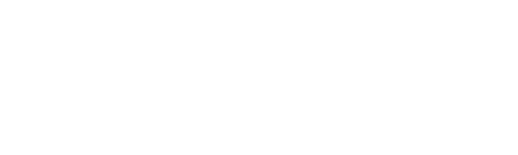 The Holzer Files