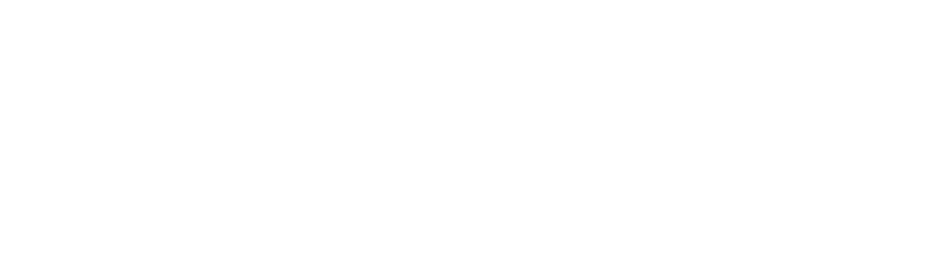 Los expedientes Holzer