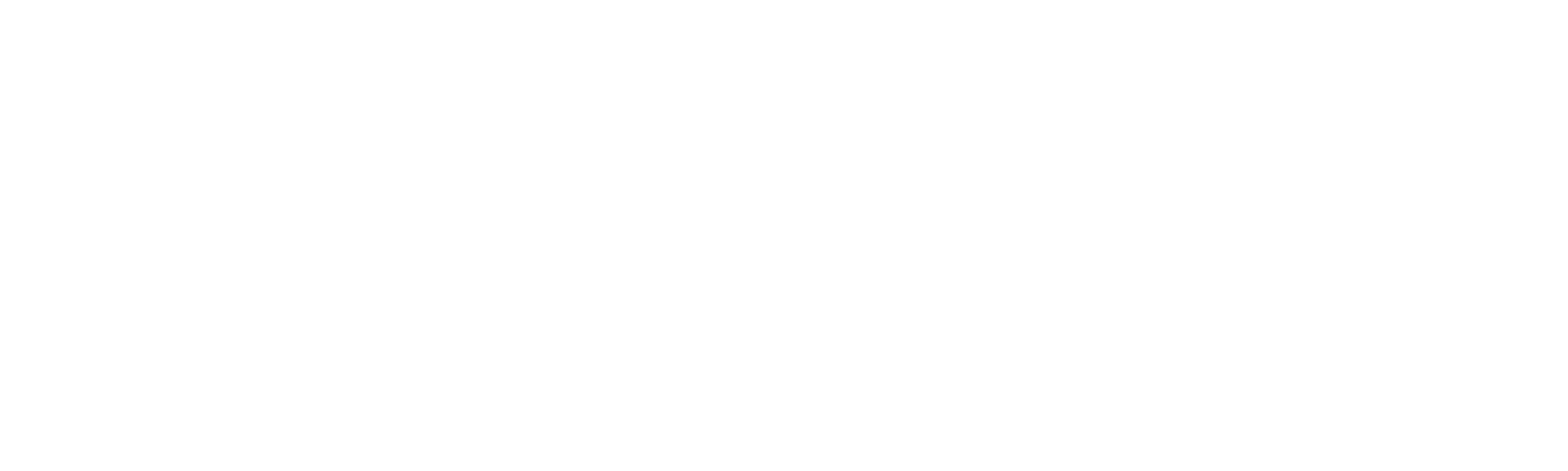 Los expedientes Holzer