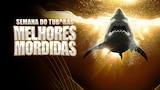 Semana do Tubarão: Melhores Mordidas