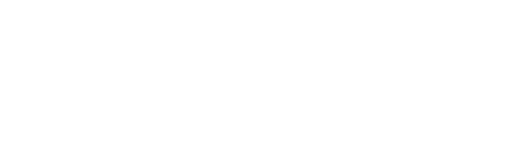 The Journey of India