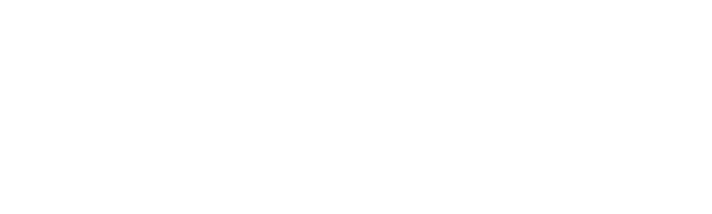 The Assassin