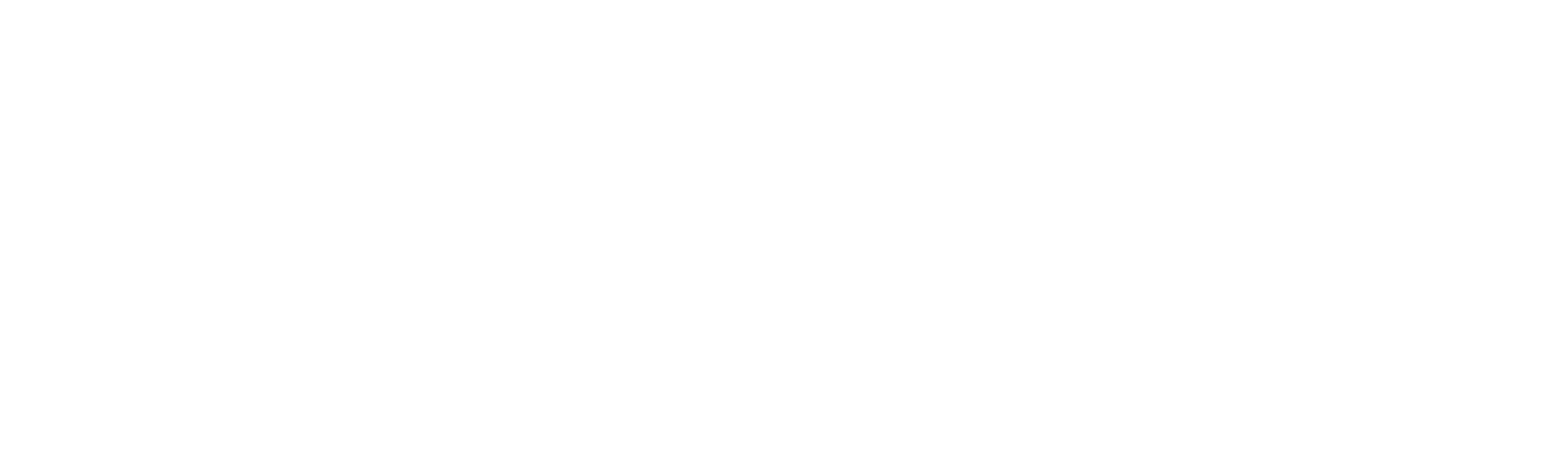 The Assassin
