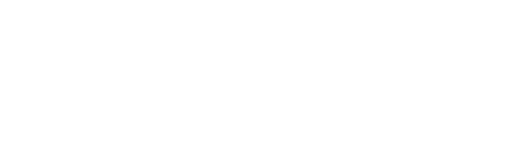 Stolen Lives