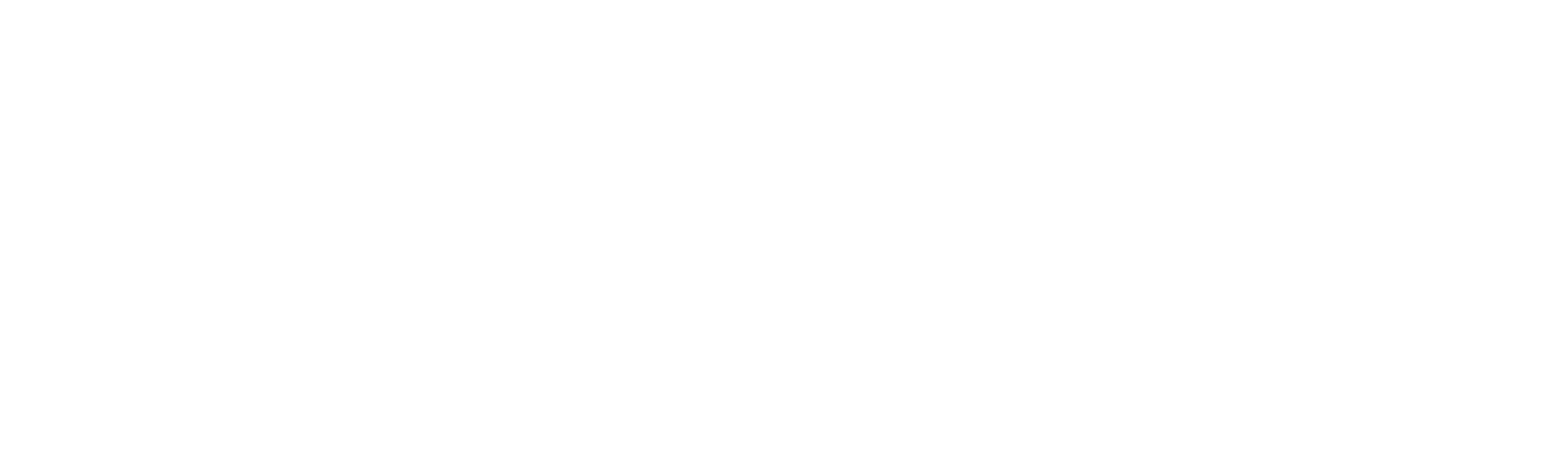 Stolen Lives