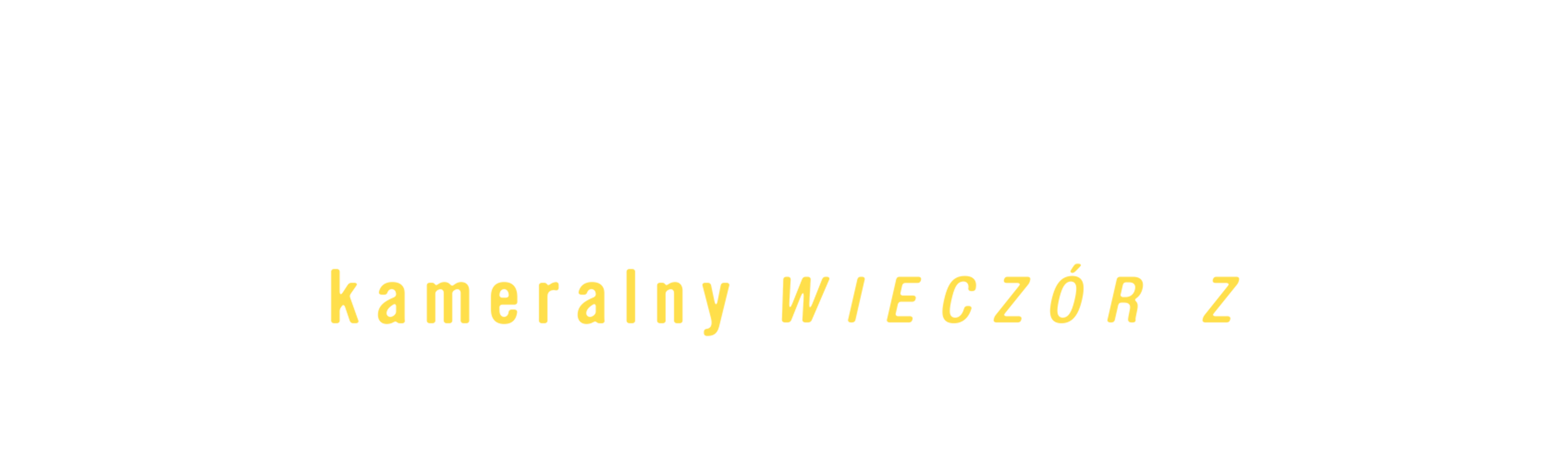 Kameralny wieczór z Adamem Pallym