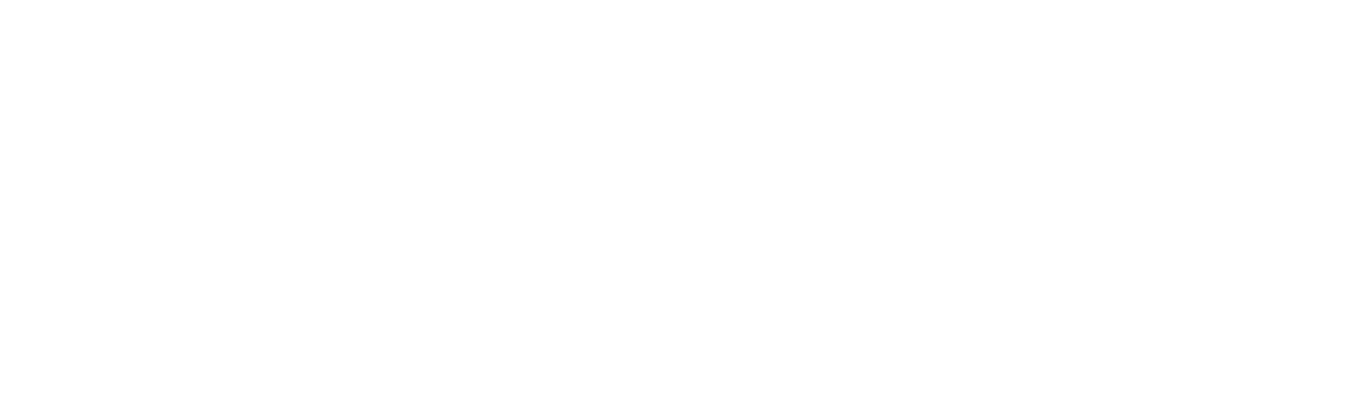 Salesman