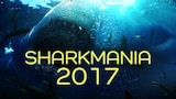 Sharkmania 2017