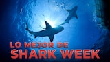 Lo mejor de Shark Week