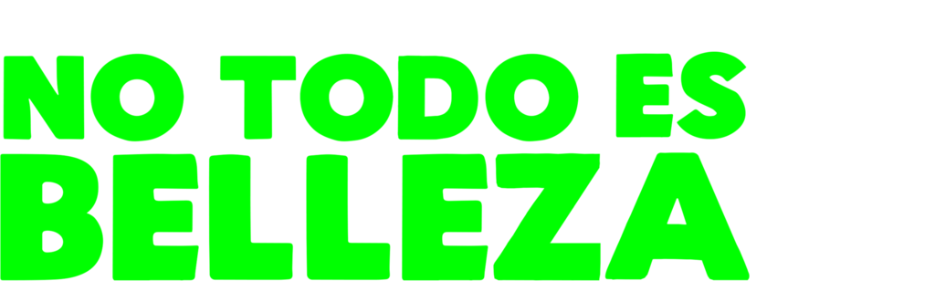 No Todo Es Belleza