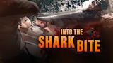 Into the Shark Bite