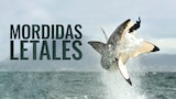 Mordidas letales