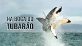 Na Boca do Tubarão