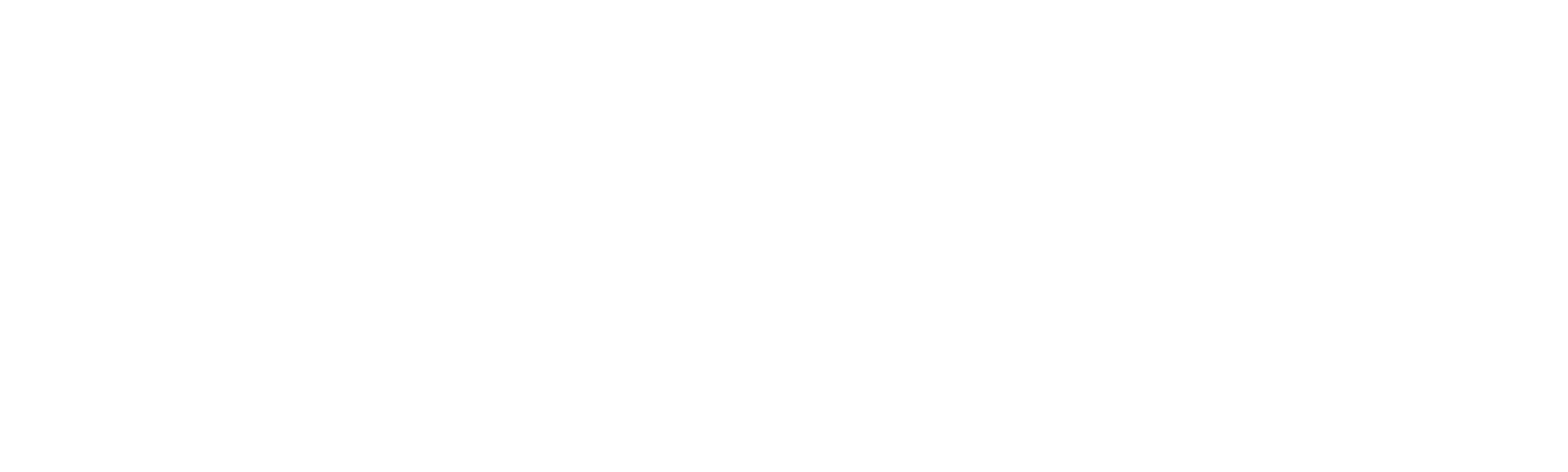 Bob Burnquist: Skateboard Legend