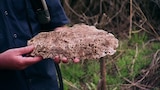 CSI Bigfoot