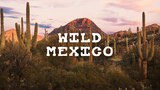 Wild Mexico