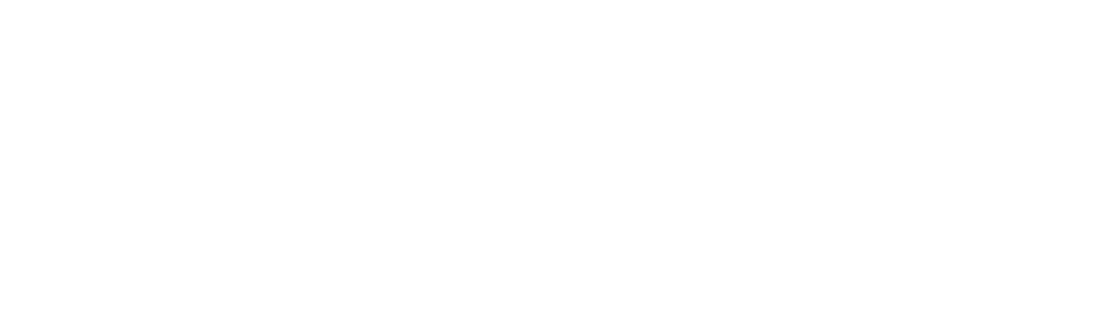 Contraband: Seized at the Border