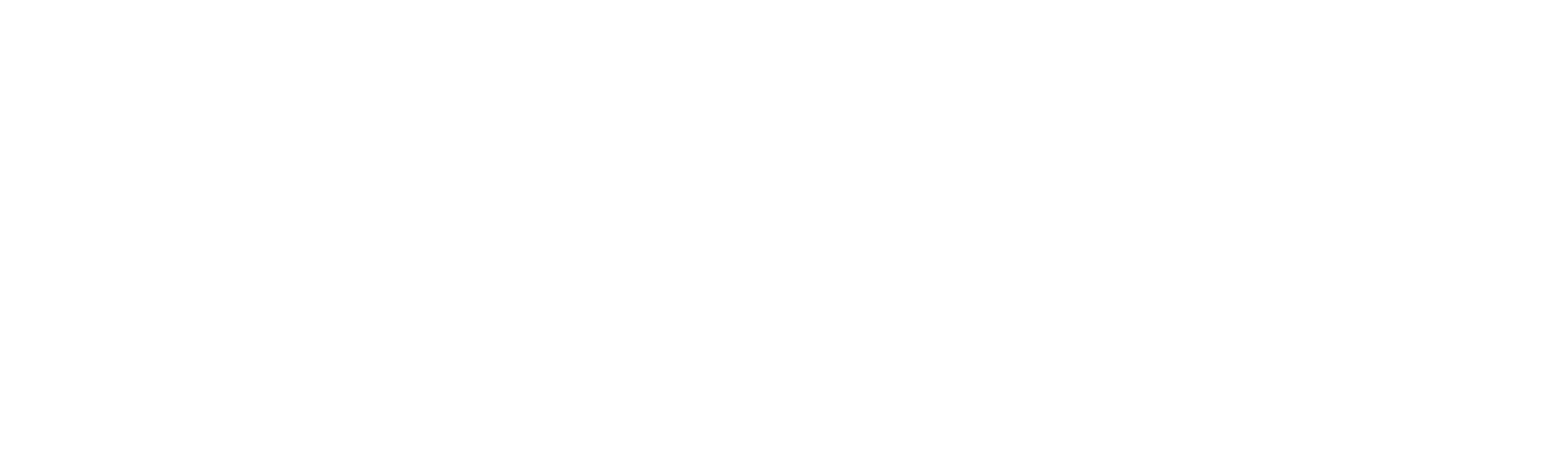 Contraband: Seized at the Border