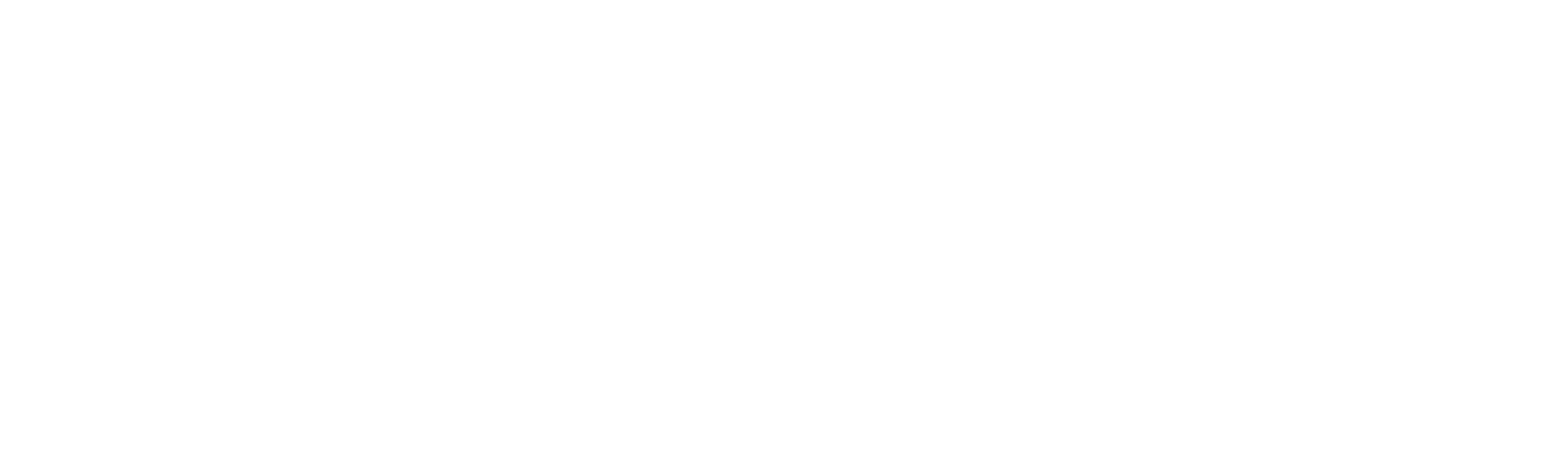 The Howard Stern Show