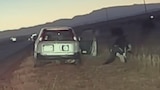 Risking it All