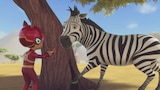 Mission: Zebra Rescue