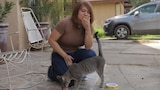 Snorting Cleaner, Chomping Cat Food, Eating Butter 
